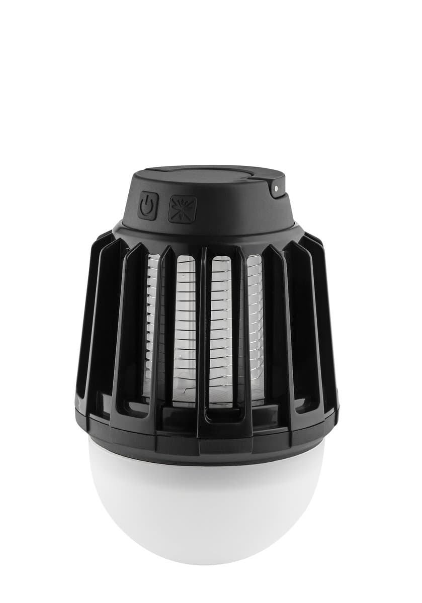 Miniatuur 4