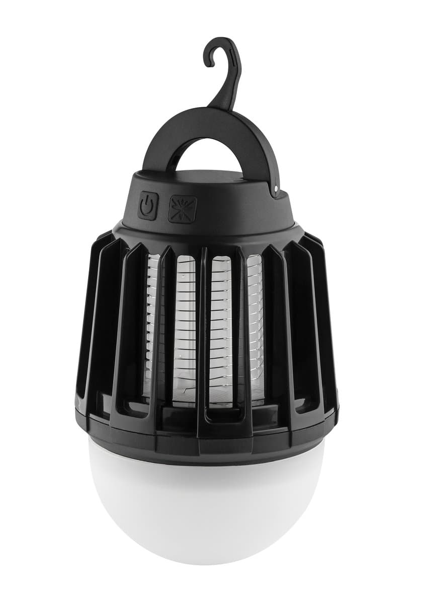 Miniatuur 2