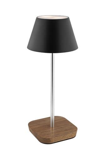 Miniatuur 2